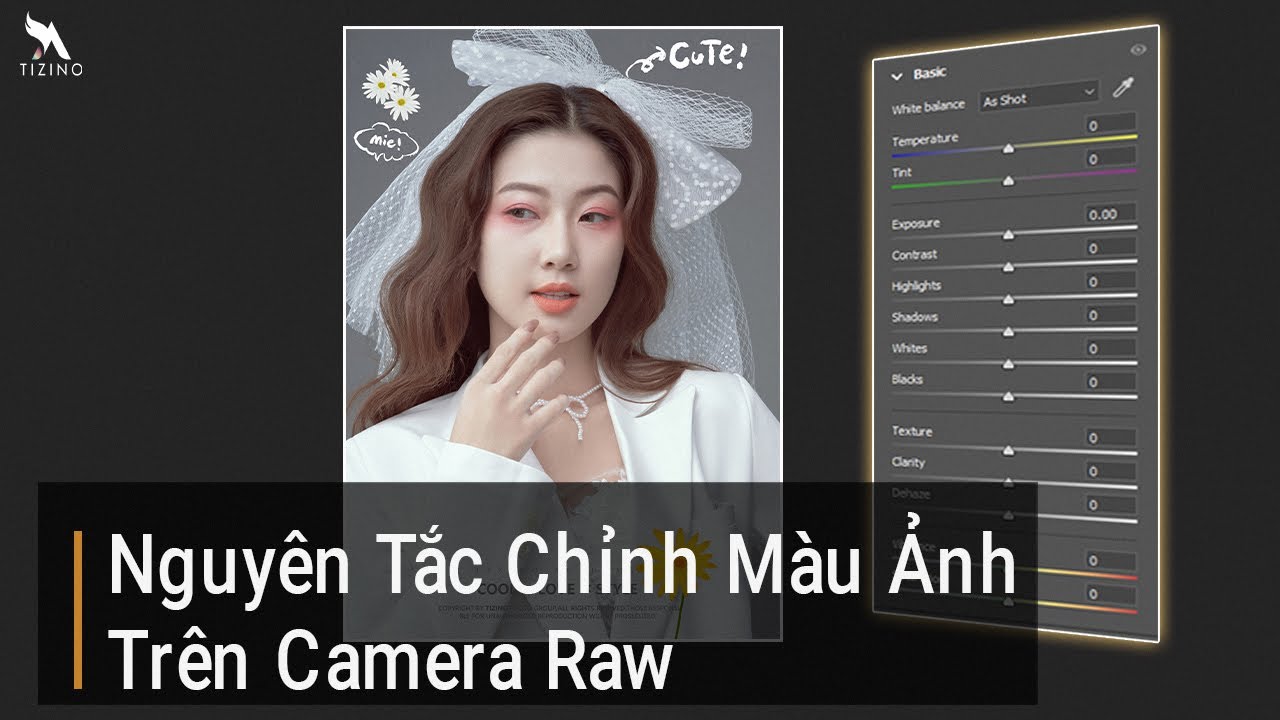 Nguyên Tắc Chỉnh Màu Ảnh Trên Camera Raw Với Hệ Màu Srgb - Buổi 1 | Tizino Academy