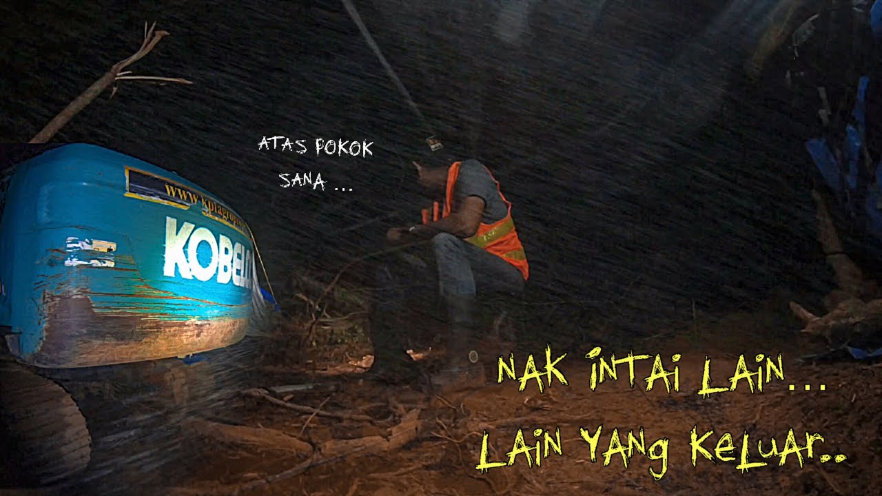 SERAM , Nak INTAI Pencuri , Lain Yang MUNCUL &hellip; Pengalaman Jadi Sekuriti 6 Malam Di Hutan