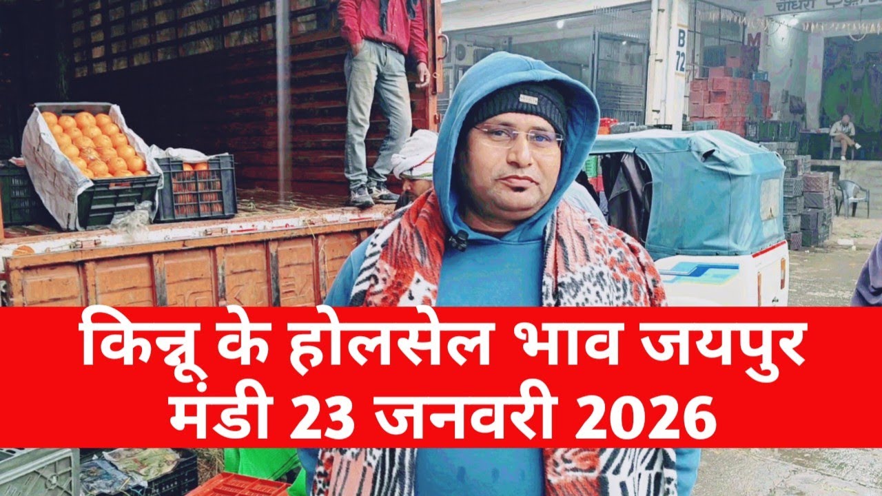 किन्नू के ताजा भाव 23 जनवरी 2026 | jaipur fruit market | jaipur mandi bhav