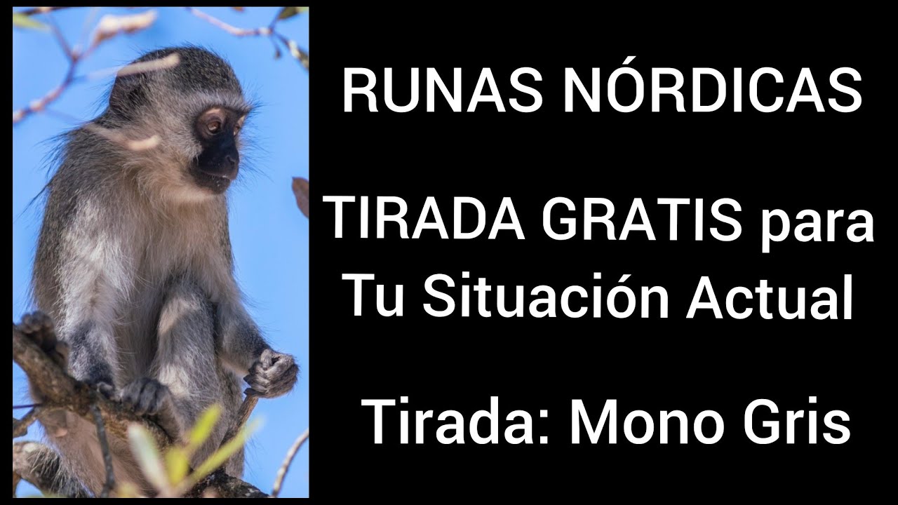 TIRADA GRATIS 🔮✨️ Elige una RUNA para tu situación actual