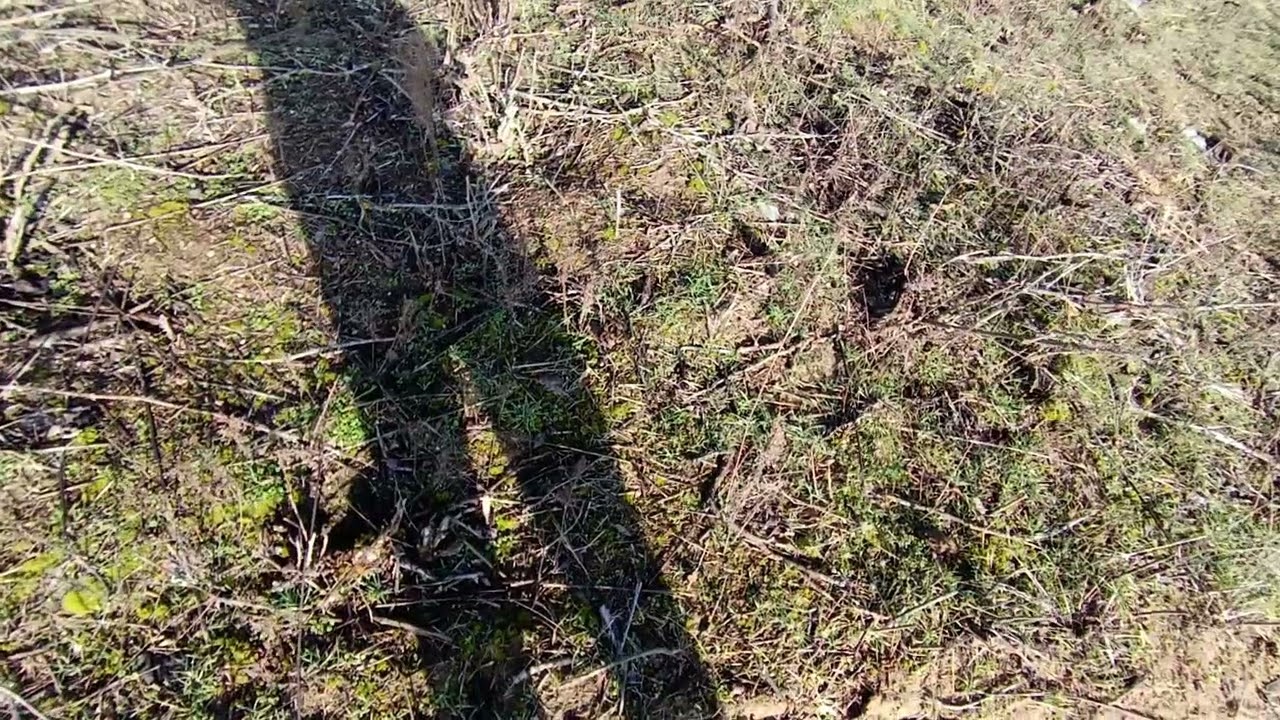 Közeleg a tavasz 