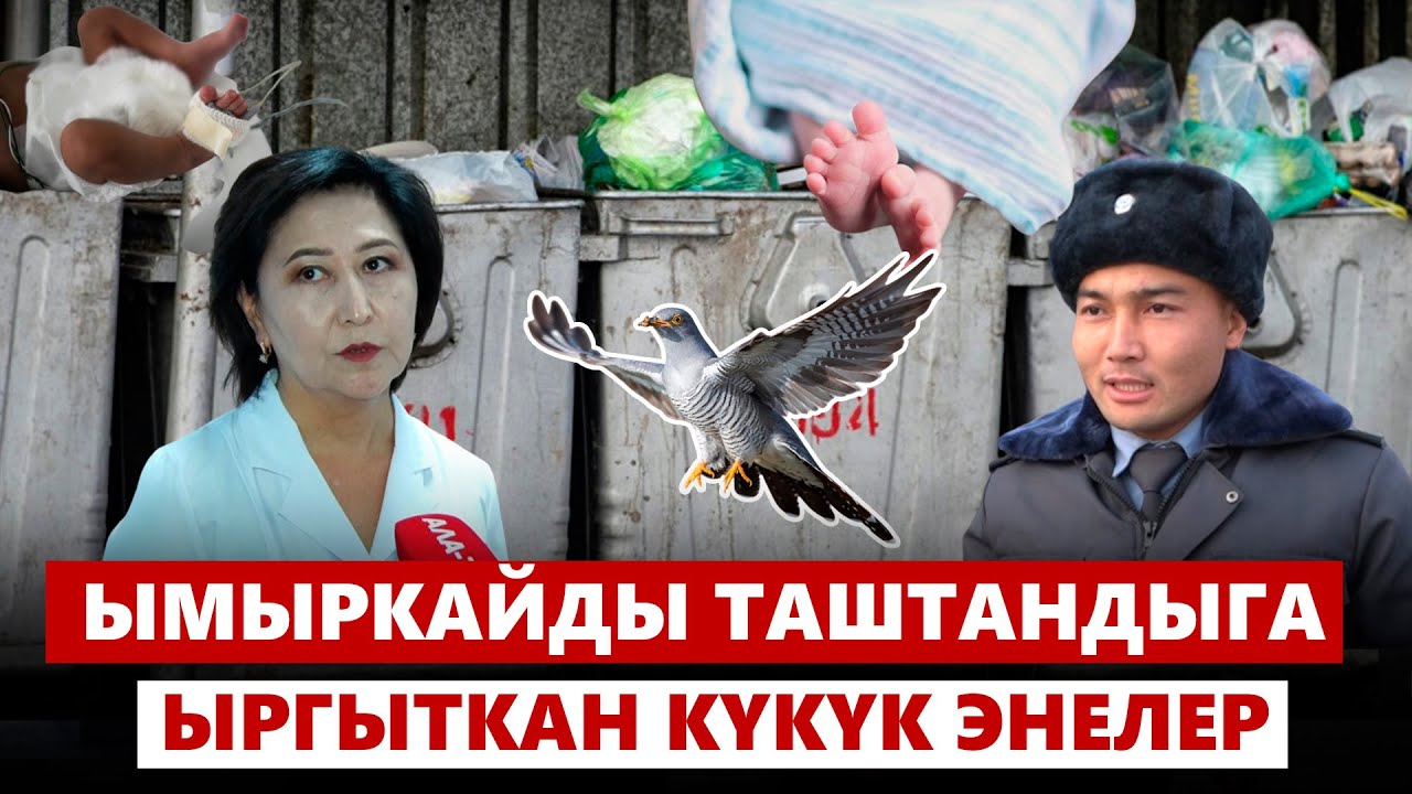 Ымыркайды таштандыга ыргыткан күкүк энелер. Үрөй учурган окуялар