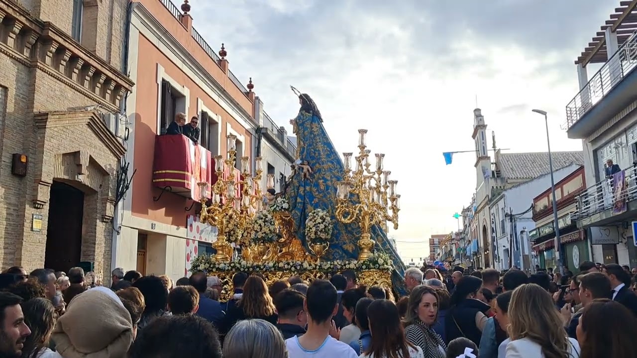Inmaculada Calle Real. Castilleja 2025. Presentación R.M. Irlandesas.
