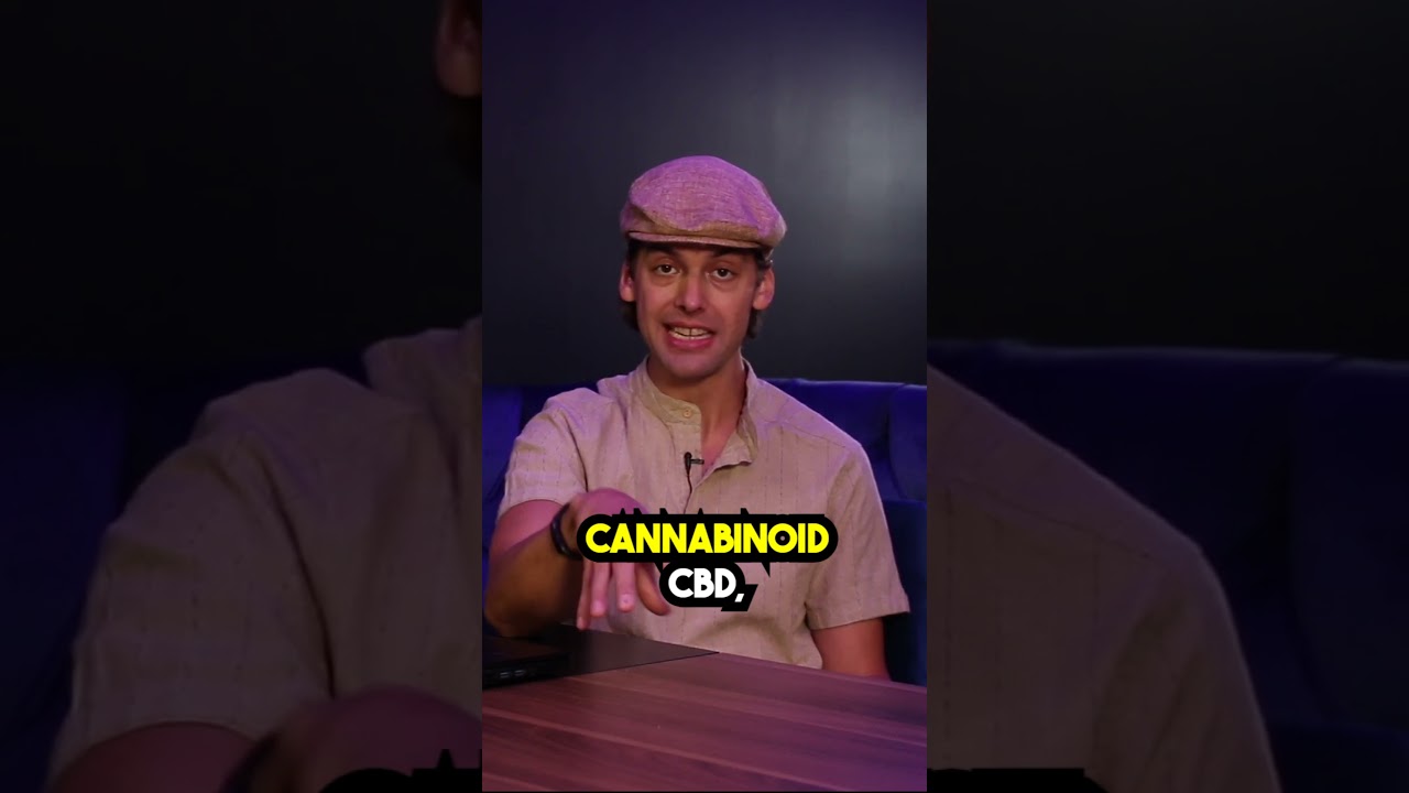 Will CBD Flower Get You Stoned? #truebudsshow