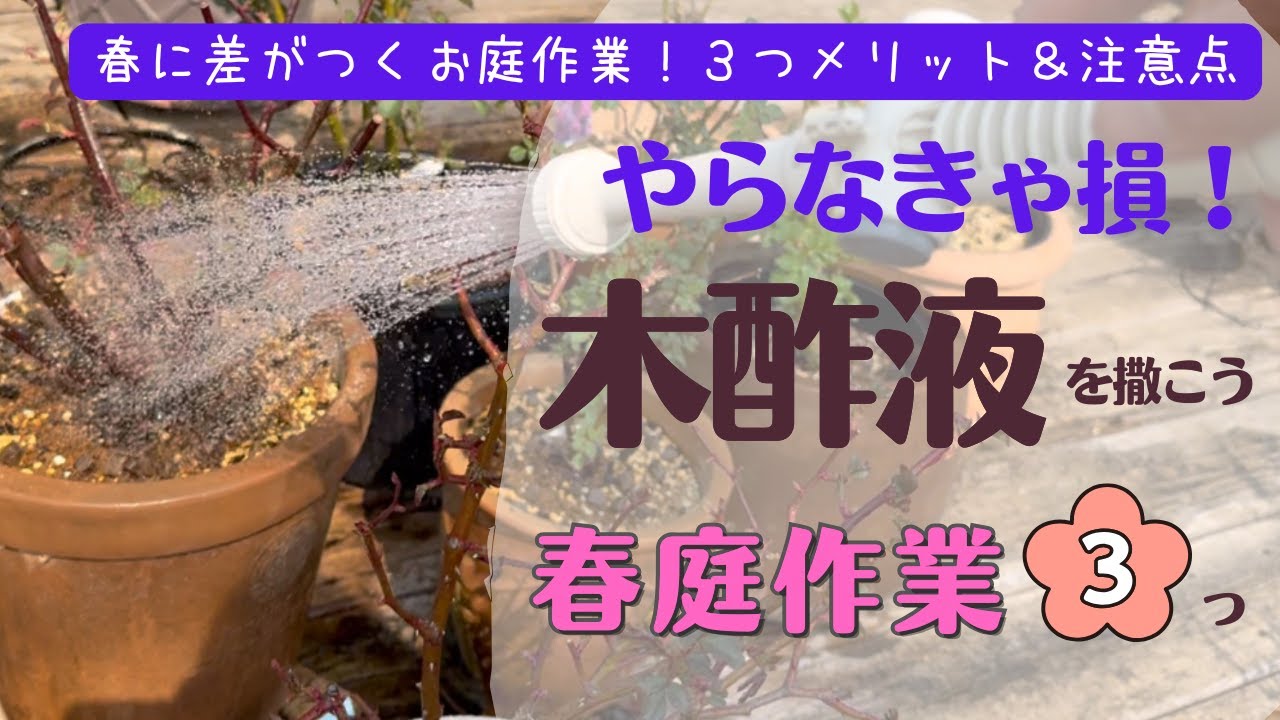《木酢液他大切な春庭作業３つ》予防が肝心！今やらないと後悔／病害虫対策／菌を育てて病害虫に強いお庭を作ろう！／お庭でフル活用木酢液