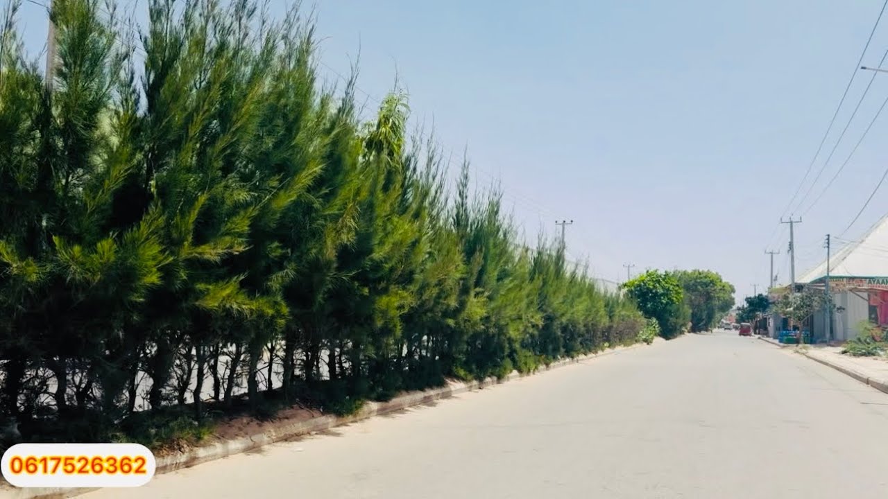 DAG DAG BOOS LAXARAASHAAYO OO HADDA HORAY AAD KADHISAN KARTO LACAGTIISA AY 10 KUN KAYARTAHAY DRSLM
