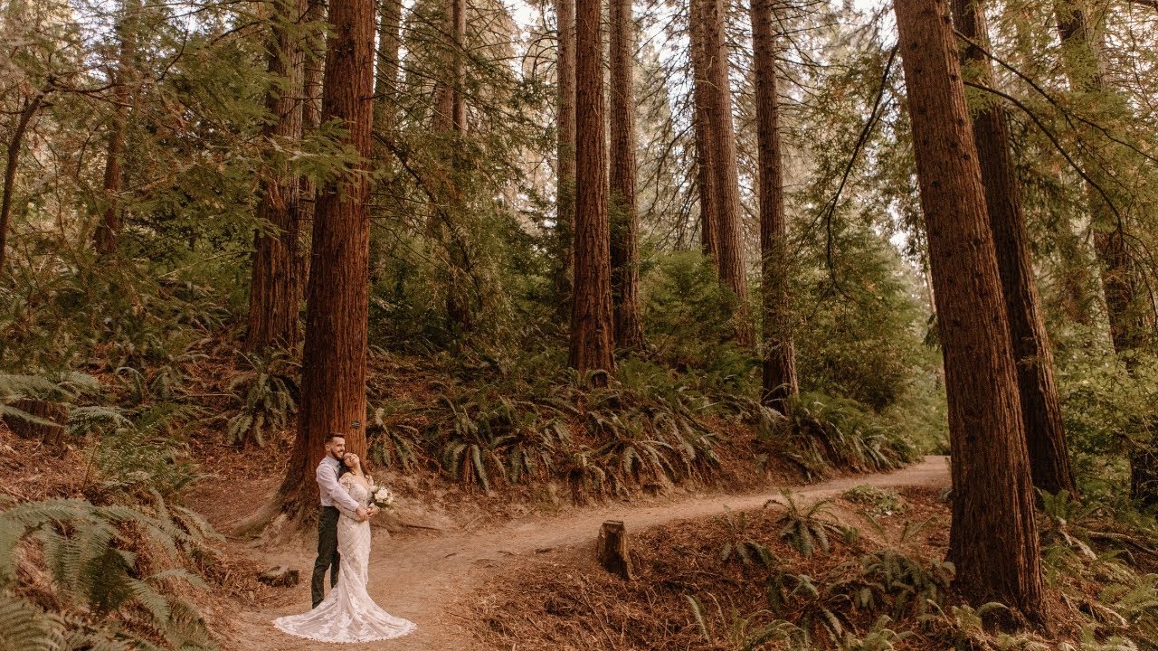 Kelsey + Kylor  // Micro Wedding at Hoyt Arboretum in Portland, OR