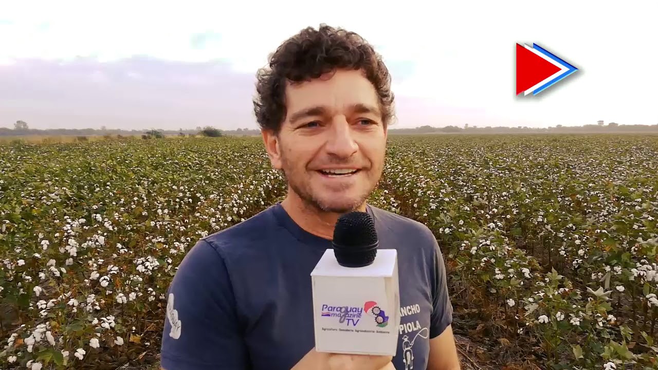 Producción de algodón en el Chaco Paraguayo | Wilfried Unrau - Productor