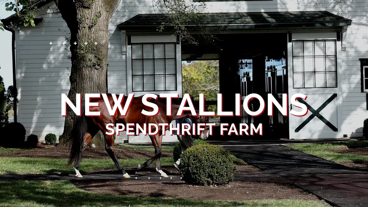 With Three New Recruits, Spendthrift Gearing Up for Another Busy Breeding Season