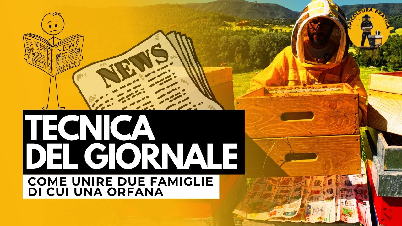 Tecnica del Giornale in Apicoltura – Quando e Come Riunire Due Famiglie