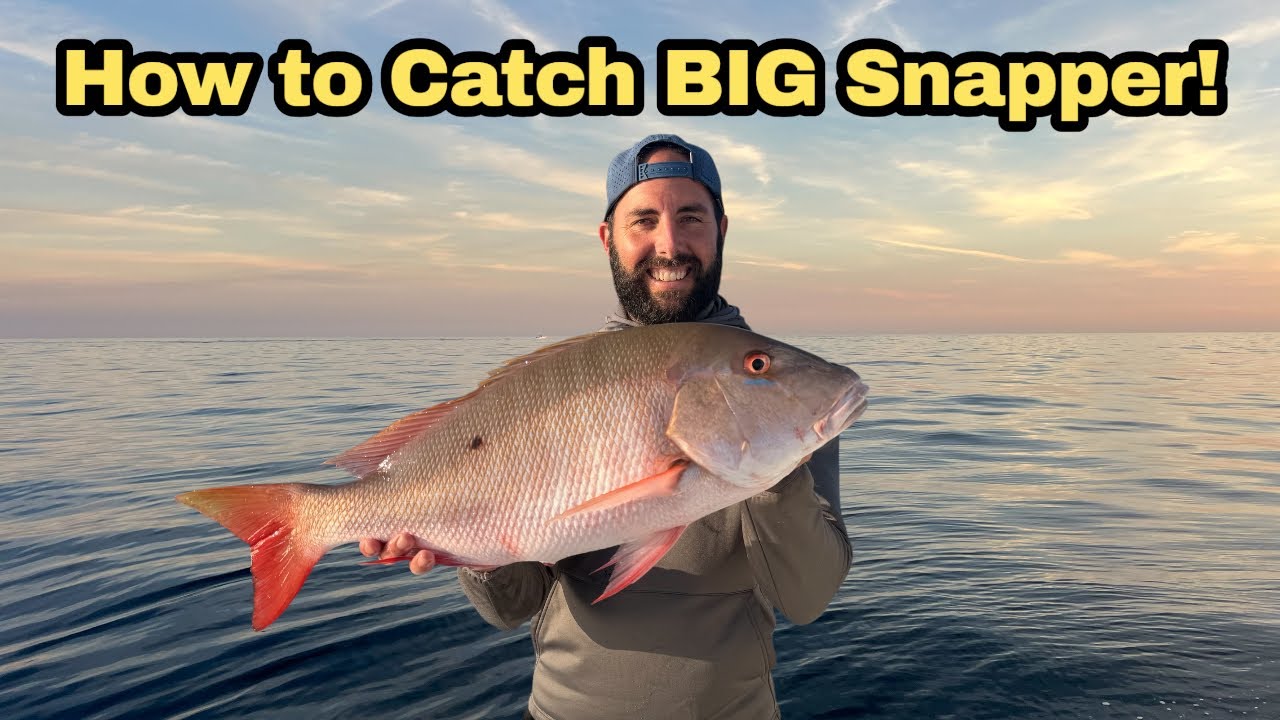 Targeting Mutton Snapper on the Reefs of South Florida | Catch & Cook