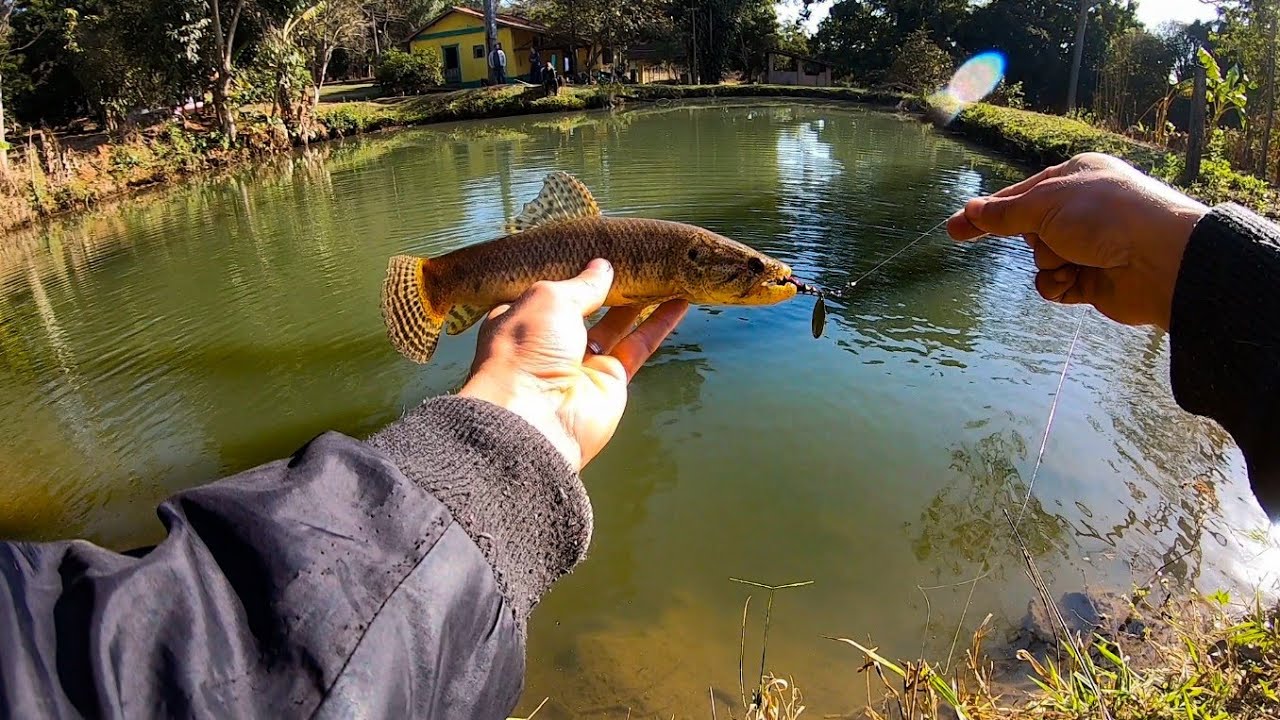 ESSA ISCA IRRITOU AS TRAÍRAS! Ultralight fishing