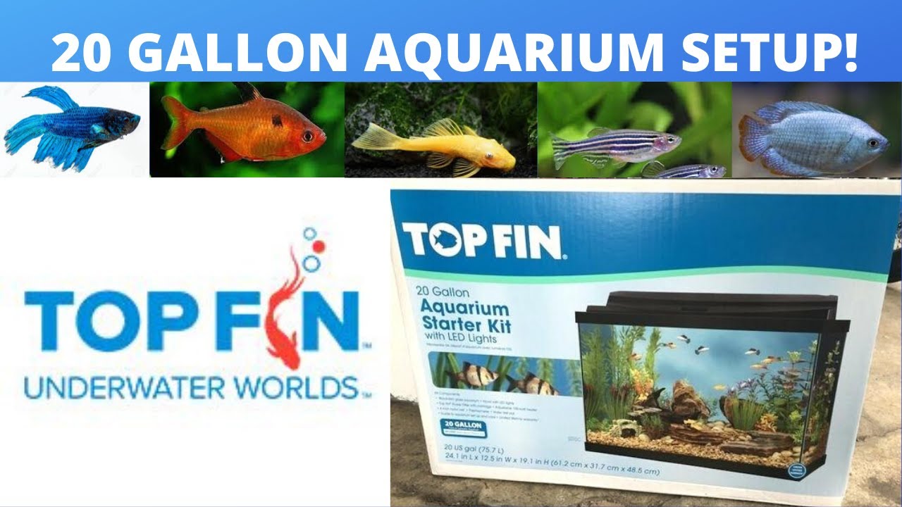 SETTING UP MY 20 GALLON TOP FIN FRESHWATER TROPICAL AQUARIUM!!!!