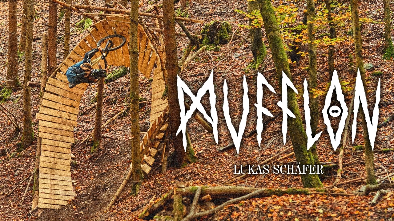 MUFFLON | Lukas Sch&auml;fer