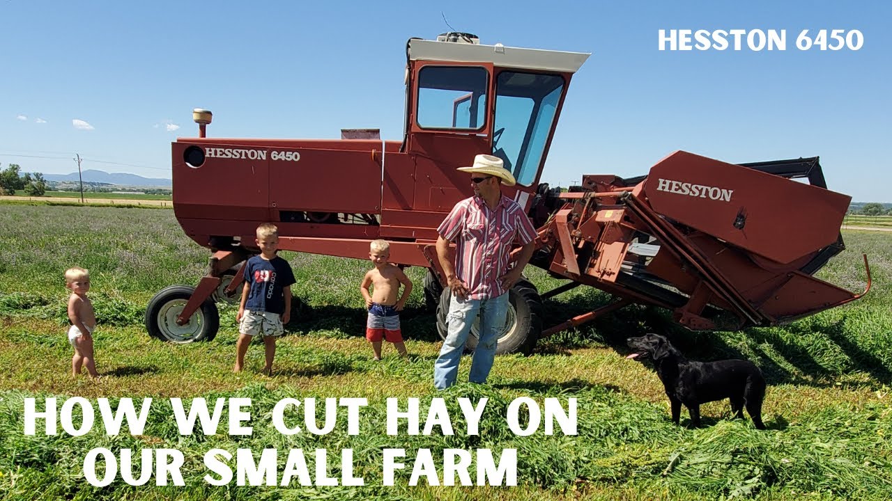 How To Cut Hay On A Small Farm - Hesston 6450 Swather | Ride Along