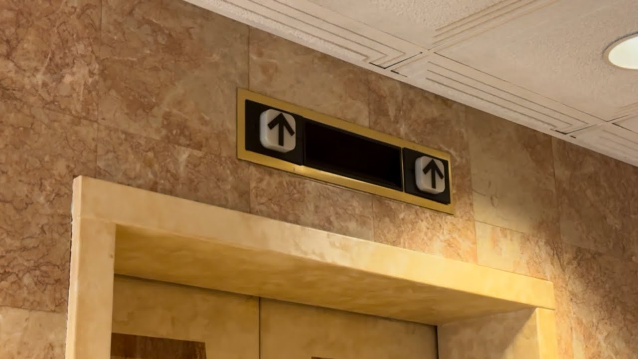 MORE Elevators at RIO Lakefront!