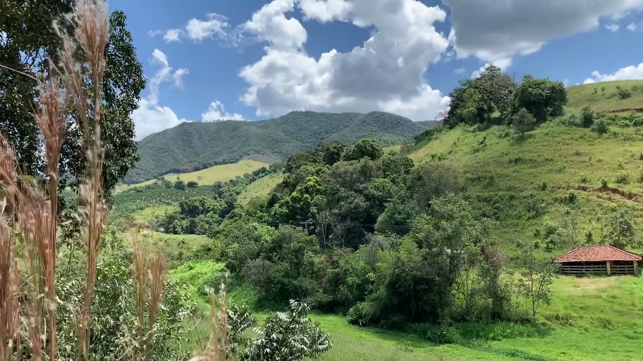 9 de março de 2025