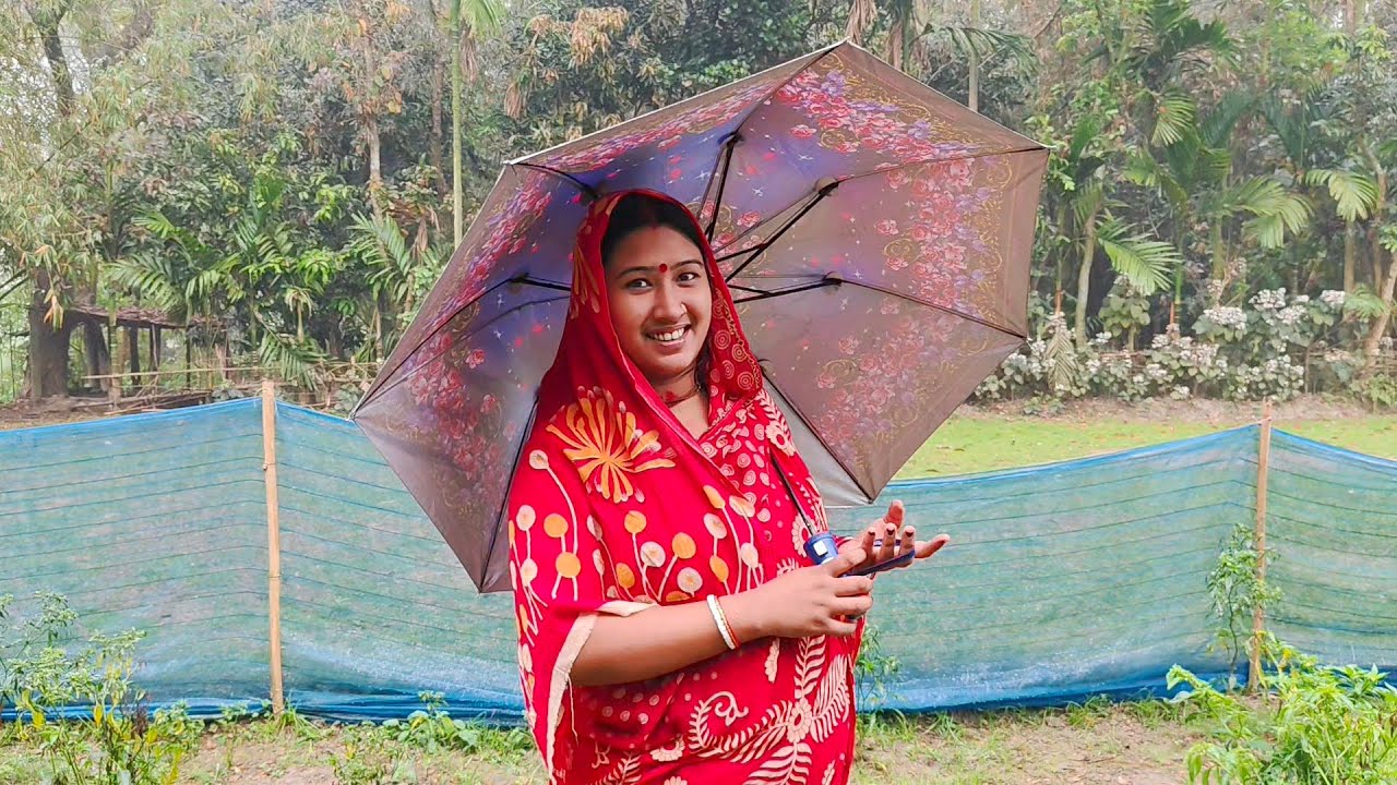 আজ সকাল বেলা আমাদের বাড়িতে আনন্দের জোয়ার বইছে কিন্তু কি কারন 