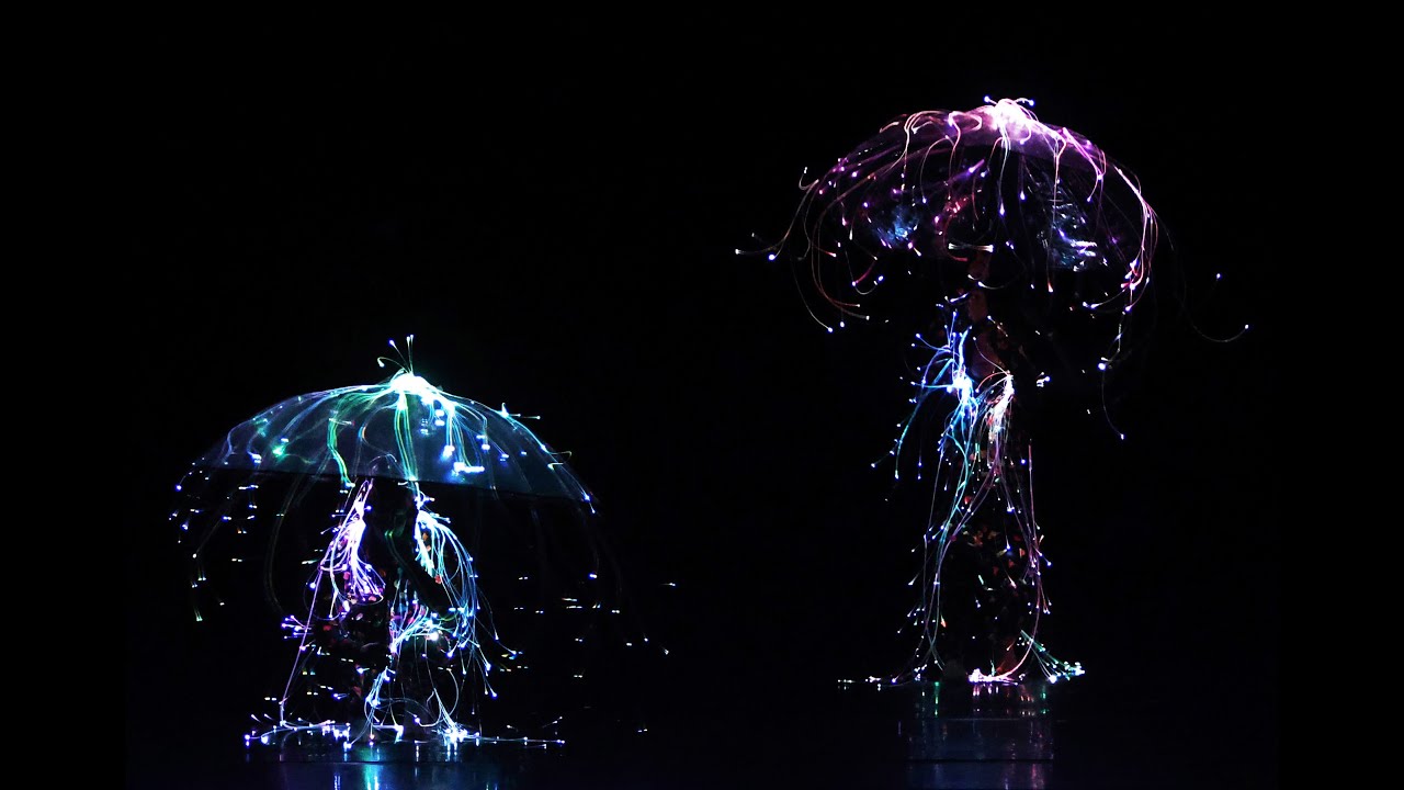 COSMOS by eVolution dance theater