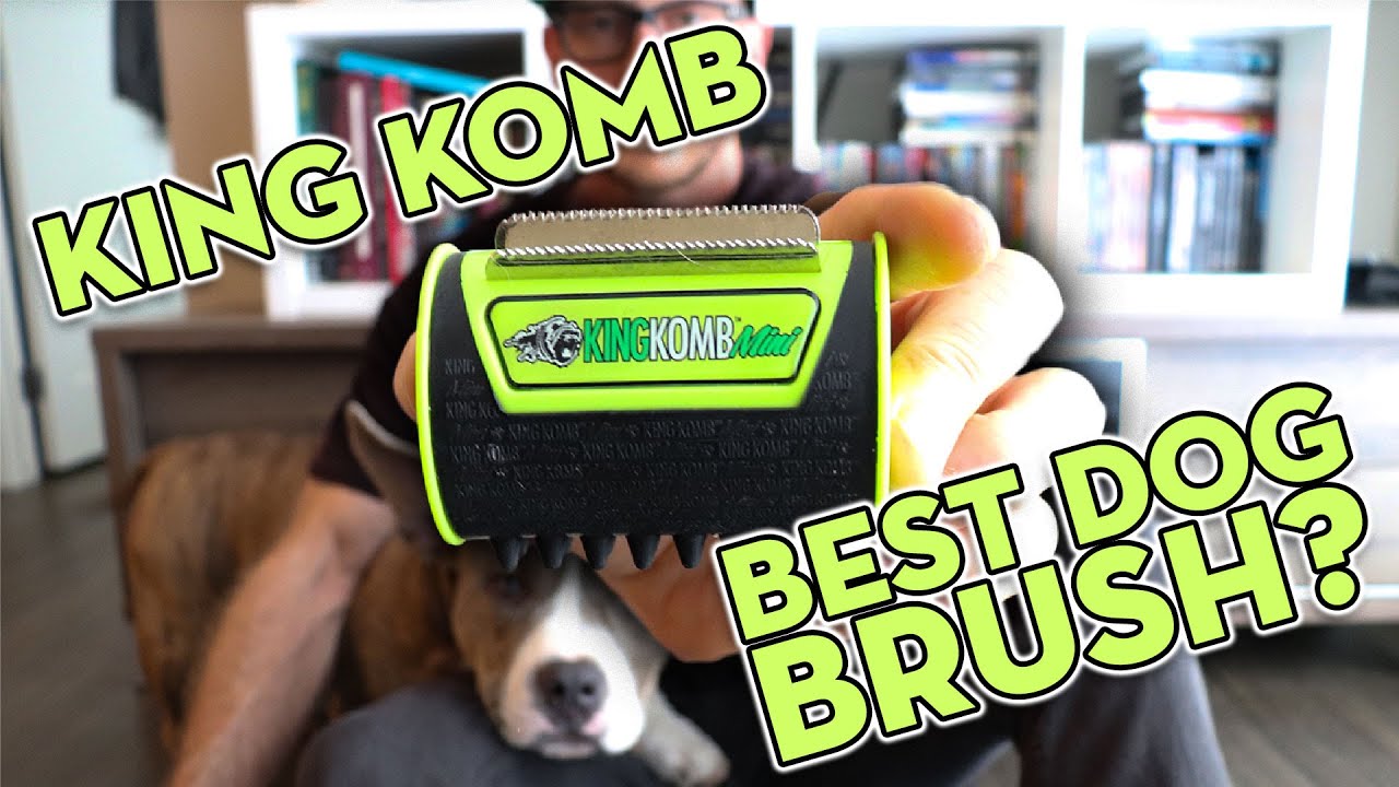 King Komb Dog Brush Review | Grooming My Pocket American Bully & Staffy Dog With The Best Dog Brush?