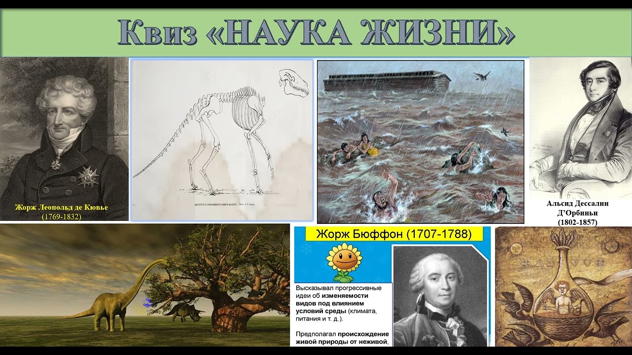 11 Катастрофизм и бюффонизм