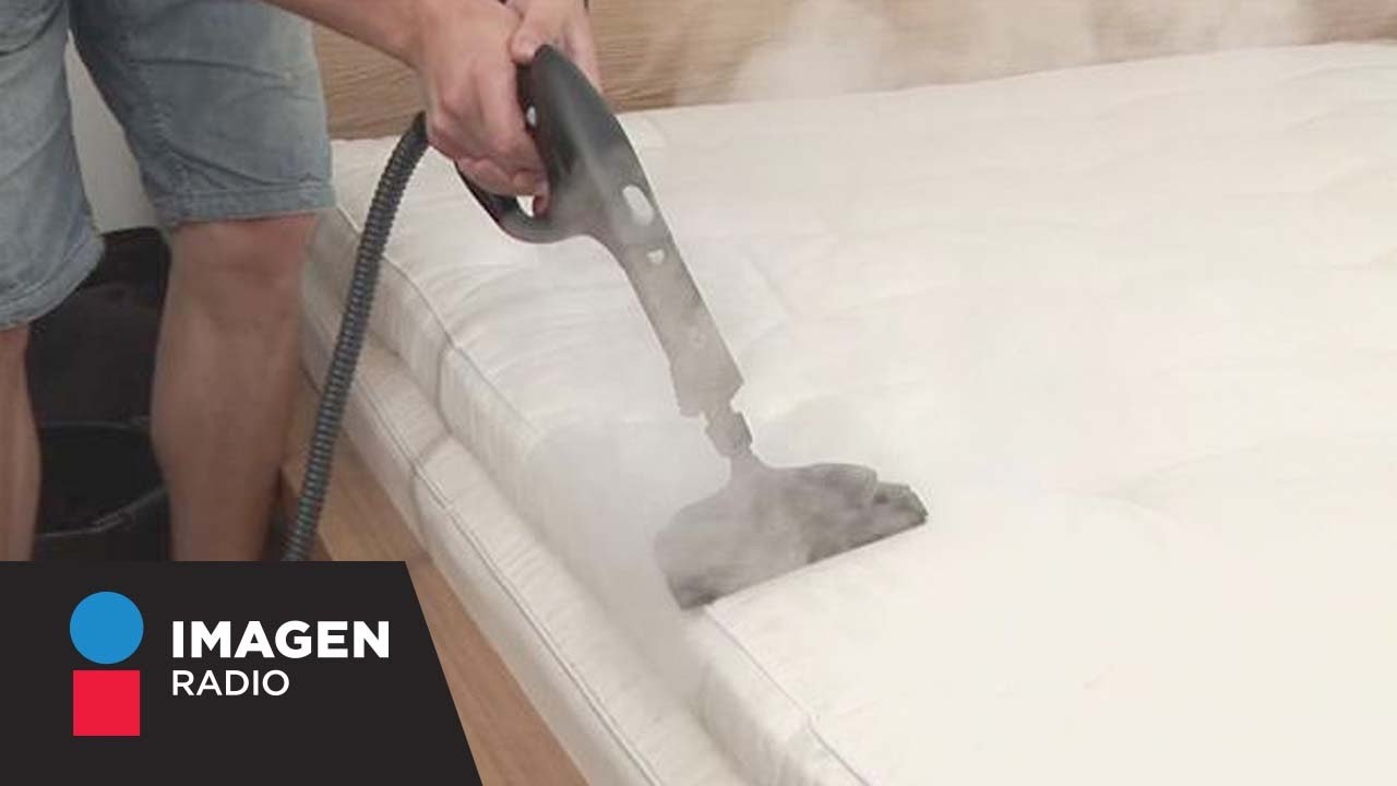 Cómo prevenir la presencia de chinches de cama / Bien y Saludable