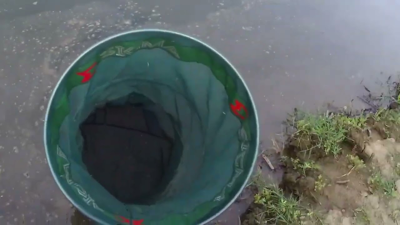 ARENA MIKAN DUŽINE-FREE STYLE FEEDER CUP