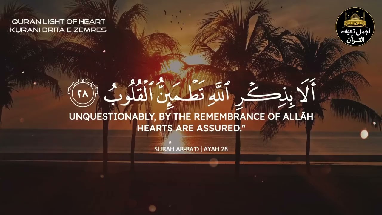 تلاوة قرآنية هادئة تريح القلب❤️راحة نفسية😌صوت جميل🎧أرح سمعك🥺❤️القارئ عبد الرحمن مسعد