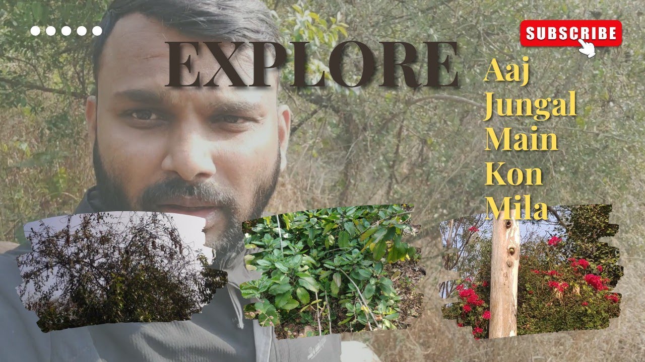 Aaj Jungle Mein Kon Mila? 😱 | Real Jungle Explore