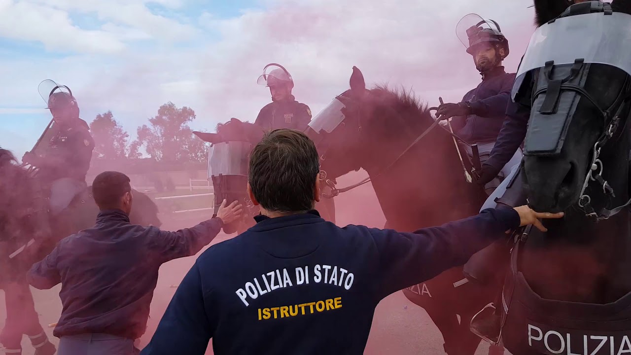 Polizia di Stato: addestramento cavalli o p