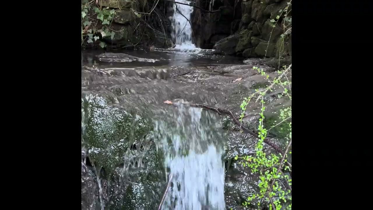 20 Minute Waterfall Meditation 💧 | Relaxing Nature Sounds for Calm, Study & Sleep
