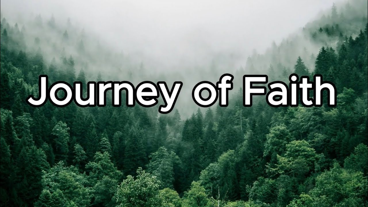 Кормим хозяйства