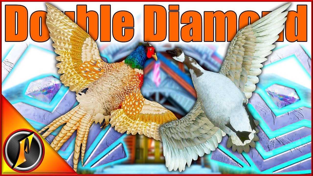 Diamonds of a Feather DROP Together! | Double Diamond for the Trophy Cabin!