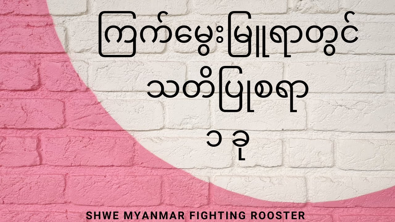 ကြက်ဝါသနာရှင် ညီကိုတွေအတွက် ဗဟုသုတ တစ်စုံတစ်ရာ