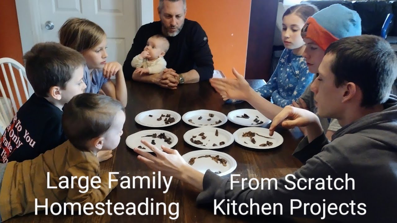 Kitchen Work ~ Homemade Jerky, Fruit Scrap Jelly, and Pantry Meals
