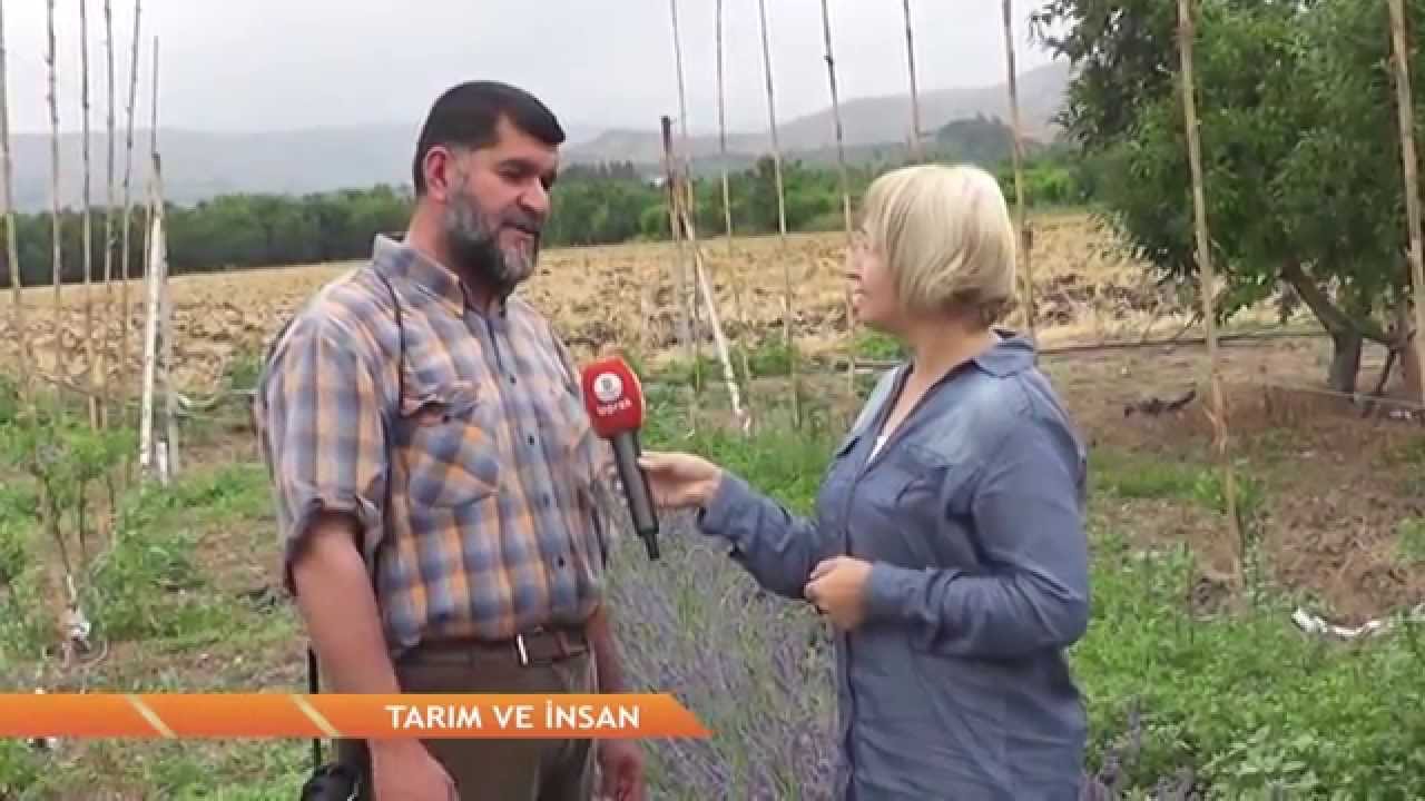 AHMET KARAN H&Uuml;NNAP VİDEOLARI TOPRAK TV R&Ouml;P&Ouml;RTAJ 2