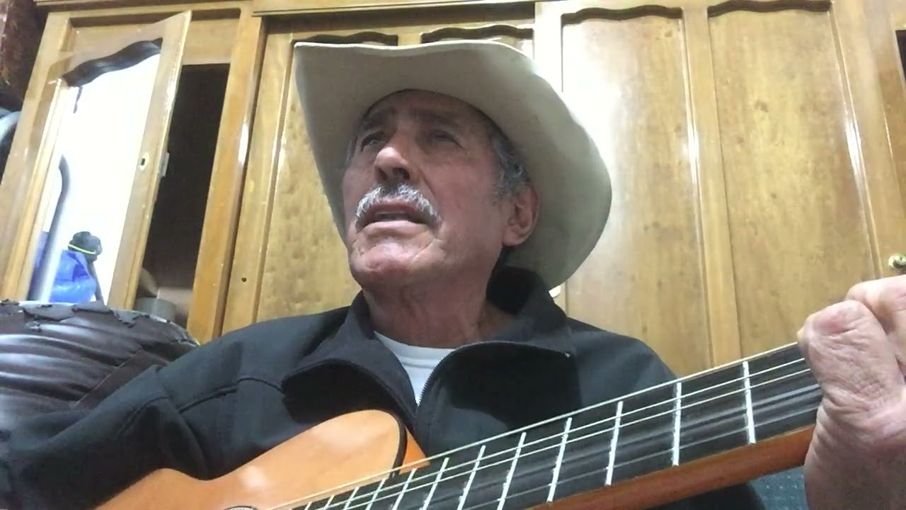 CABALLO PRIETO AZABACHE