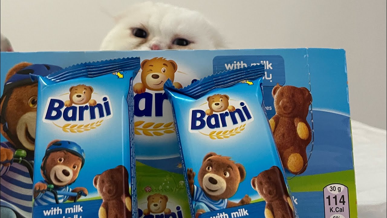 Barni Cake Chocolate & Milk With Saleh بارني كيك🍫