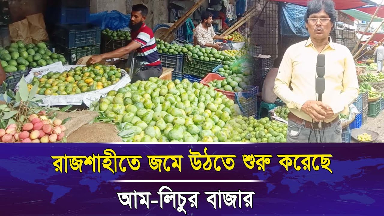 রাজশাহীতে জমে উঠতে শুরু করেছে আম-লিচুর বাজার I Voice Bangla