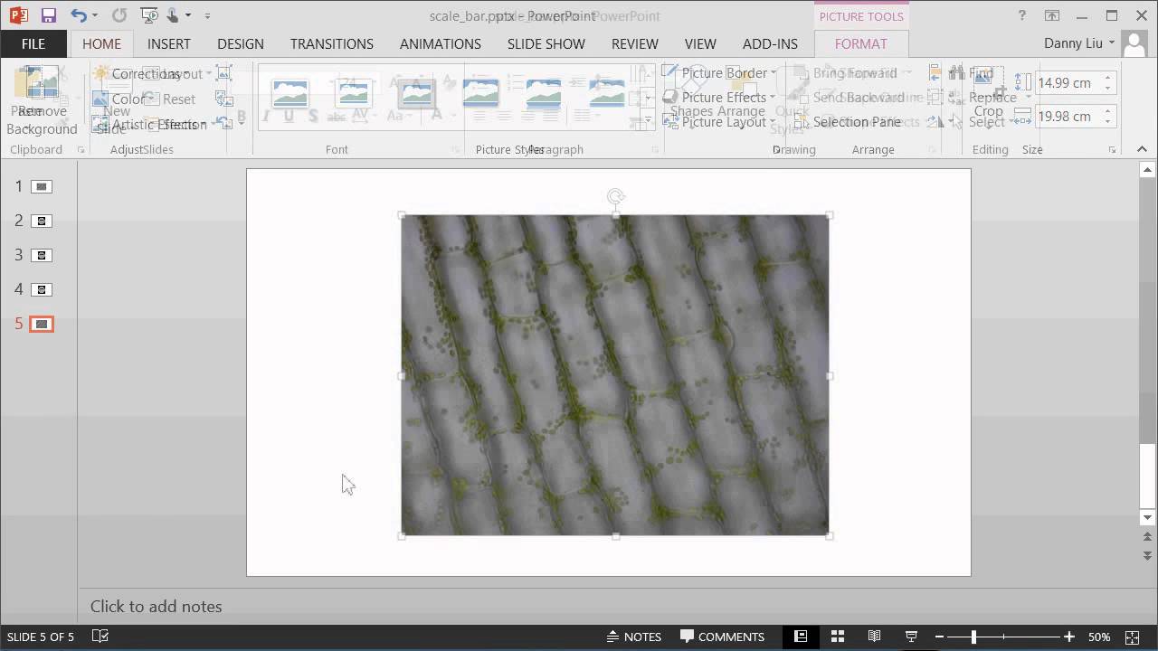 Adding a scale bar onto a microscope image using PowerPoint - with known image dimensions