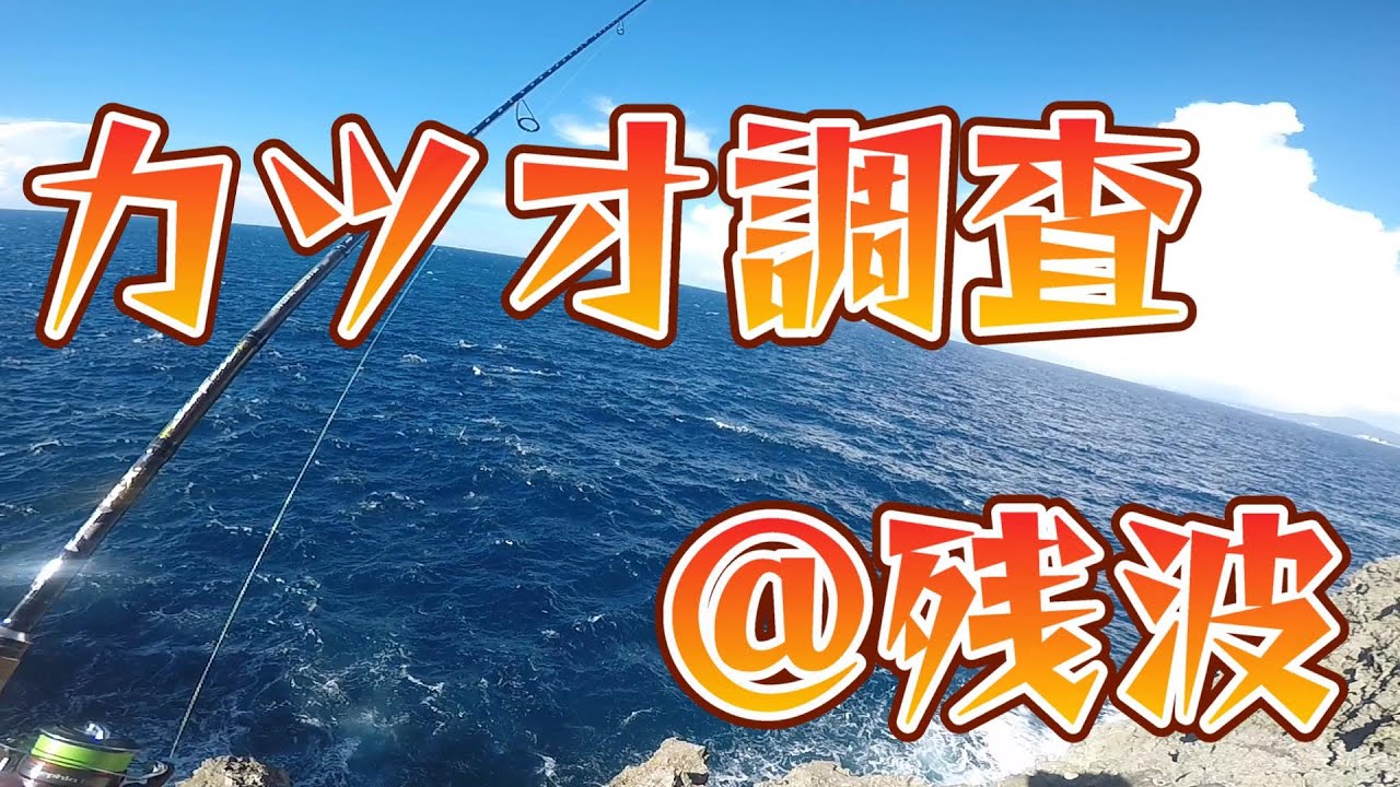 磯野カツオの調査 #沖縄釣り #ルアー釣り #残波岬 #カツオ #ショアジギング
