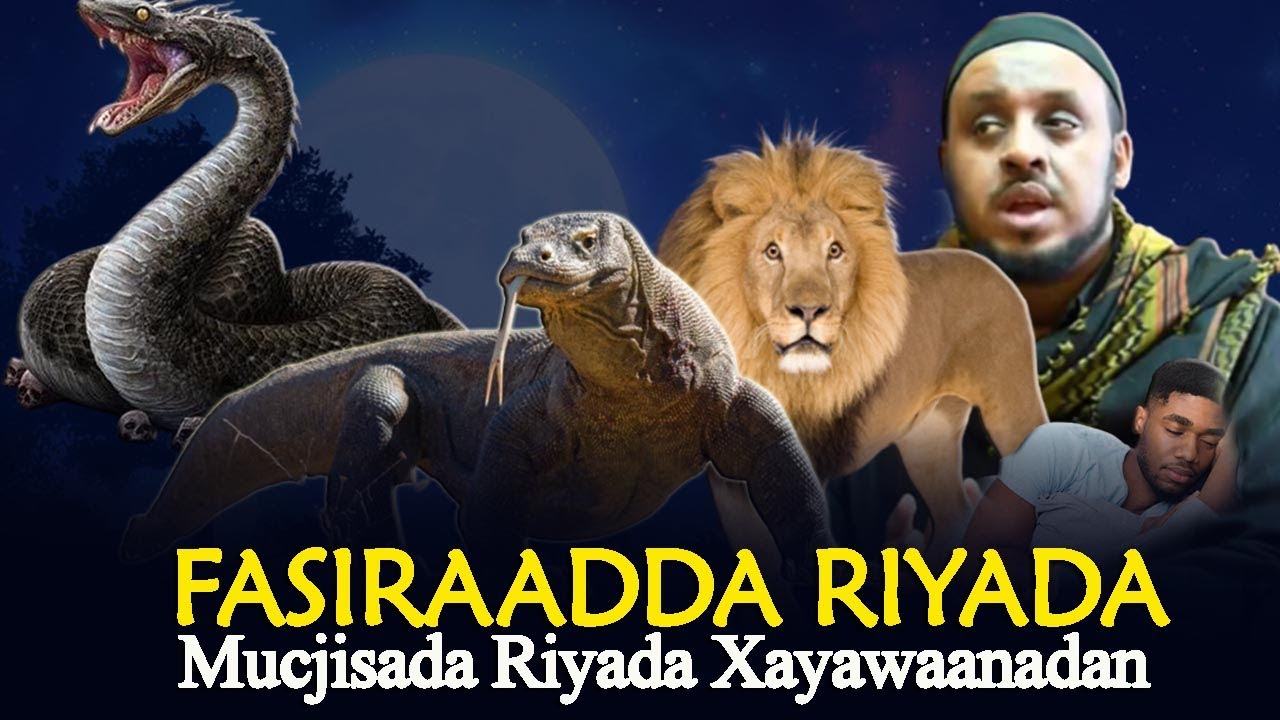 Layaabka Riyada Xayawaankan Farxad, Murugo | Maal Iyo Saboolnimo | Nasiib Wacan | Nasiib Xun