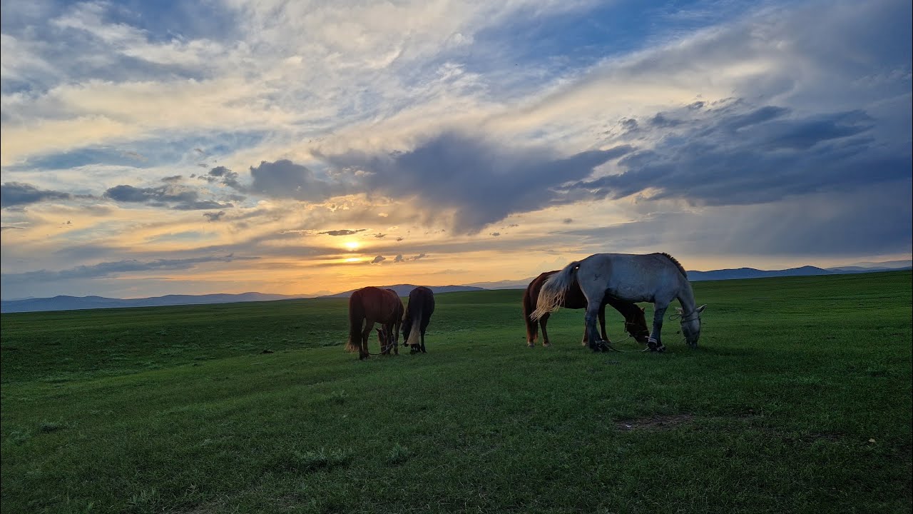 Mongolia Szlak Szamanów 08.2024