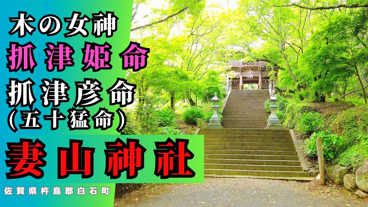木の女神を祀る社 【妻山神社】佐賀県杵島郡白石町 【九州の神社・パワースポット】