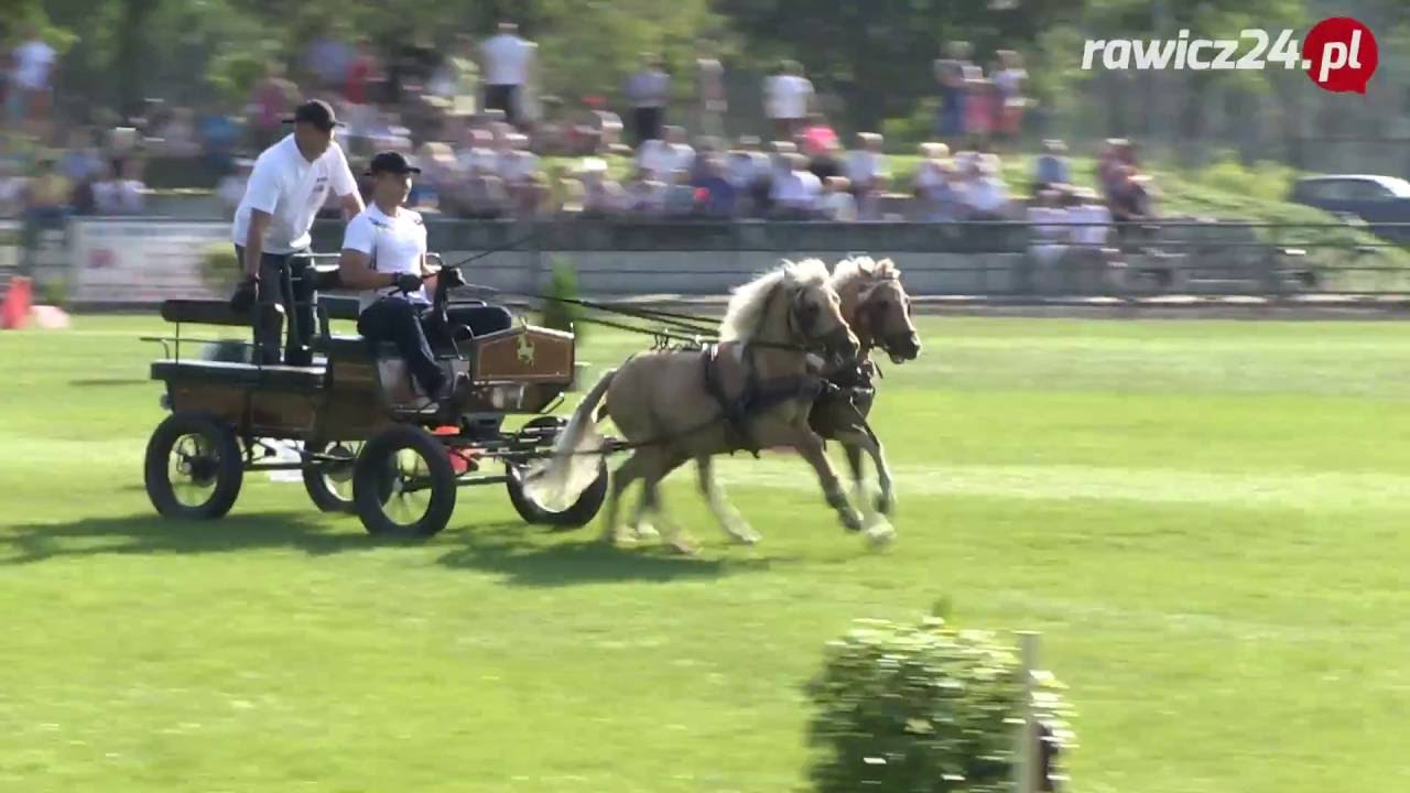 Turniej w Powożeniu Zaprzęgami o Puchar Burmistrza Rawicza