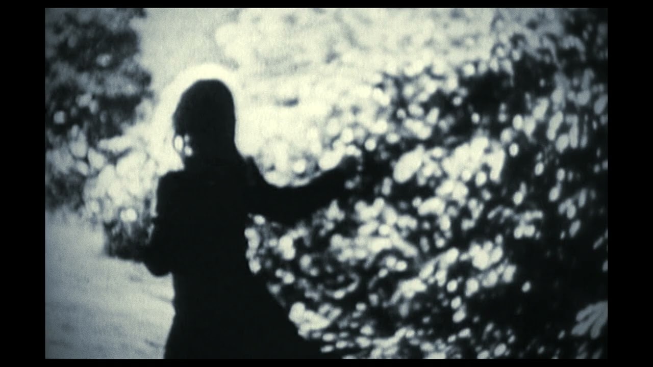 ♫♪ 534 / John Zorn - »Ba'adinot (Arco)«