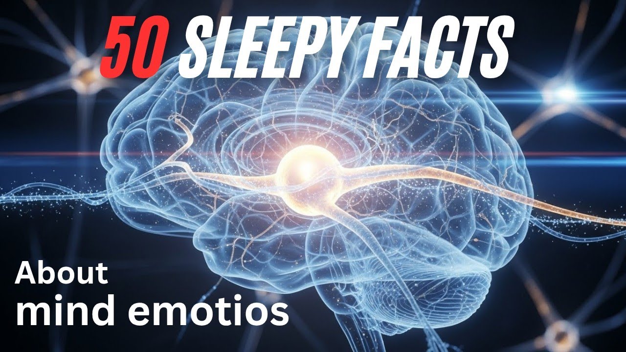 The most relaxing facts about mind emotion to fall asleep journey