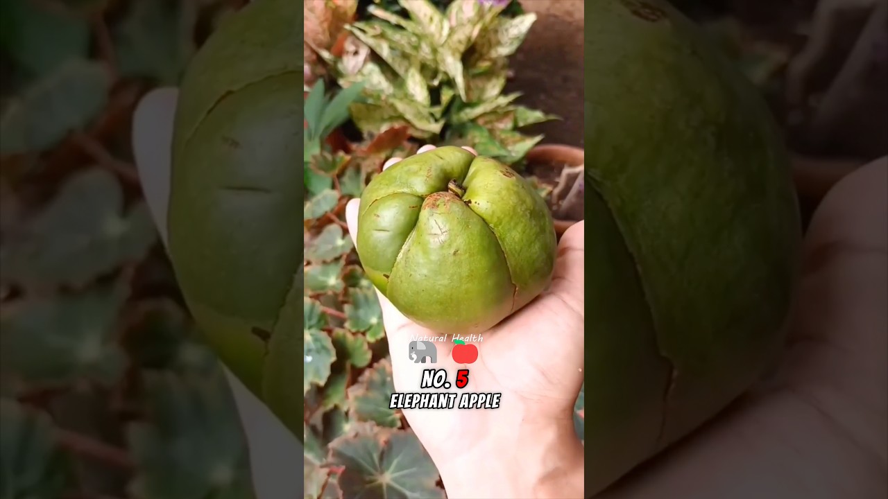 5 Strange Fruits You Probably Have Not Tasted #fruit #facts #shorts
