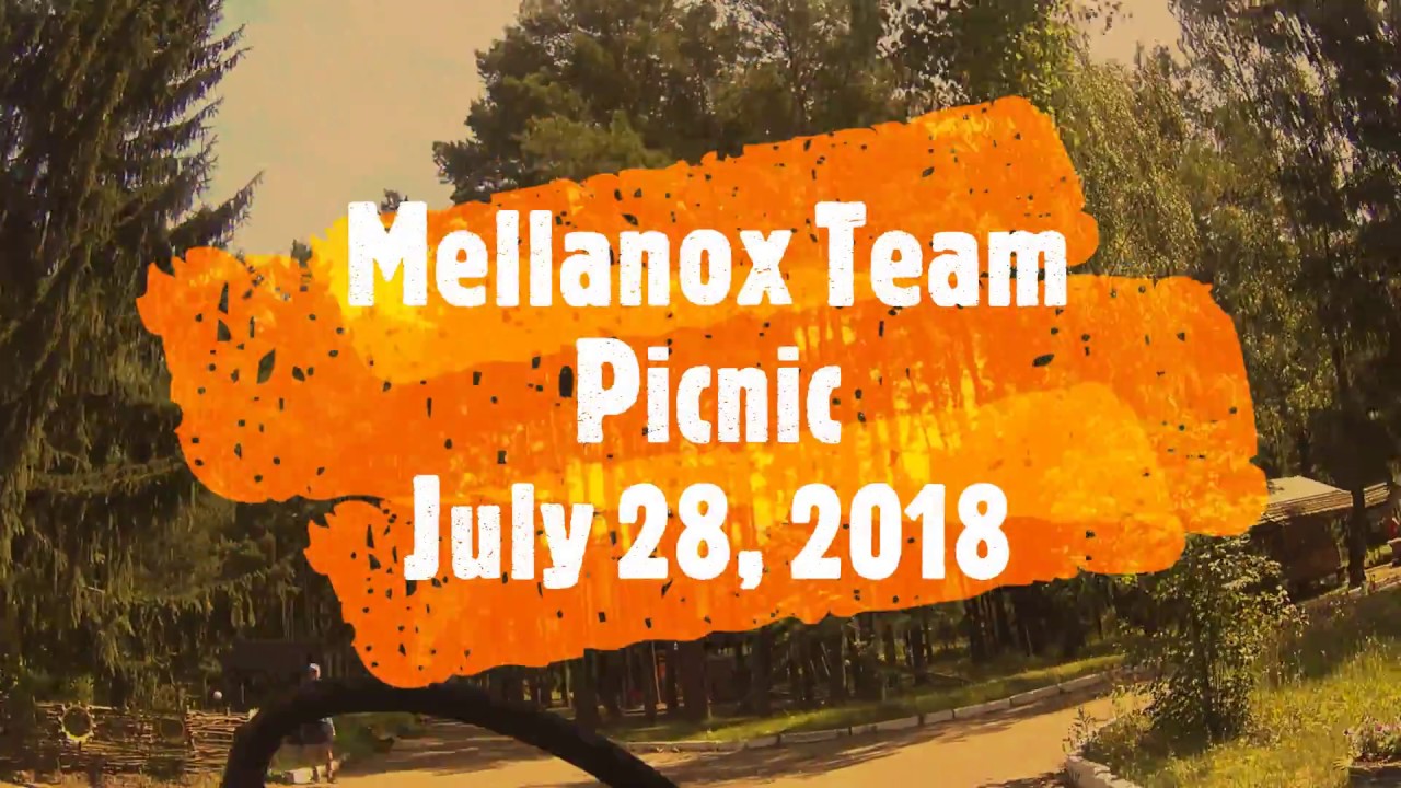 Mellanox Team Picnic