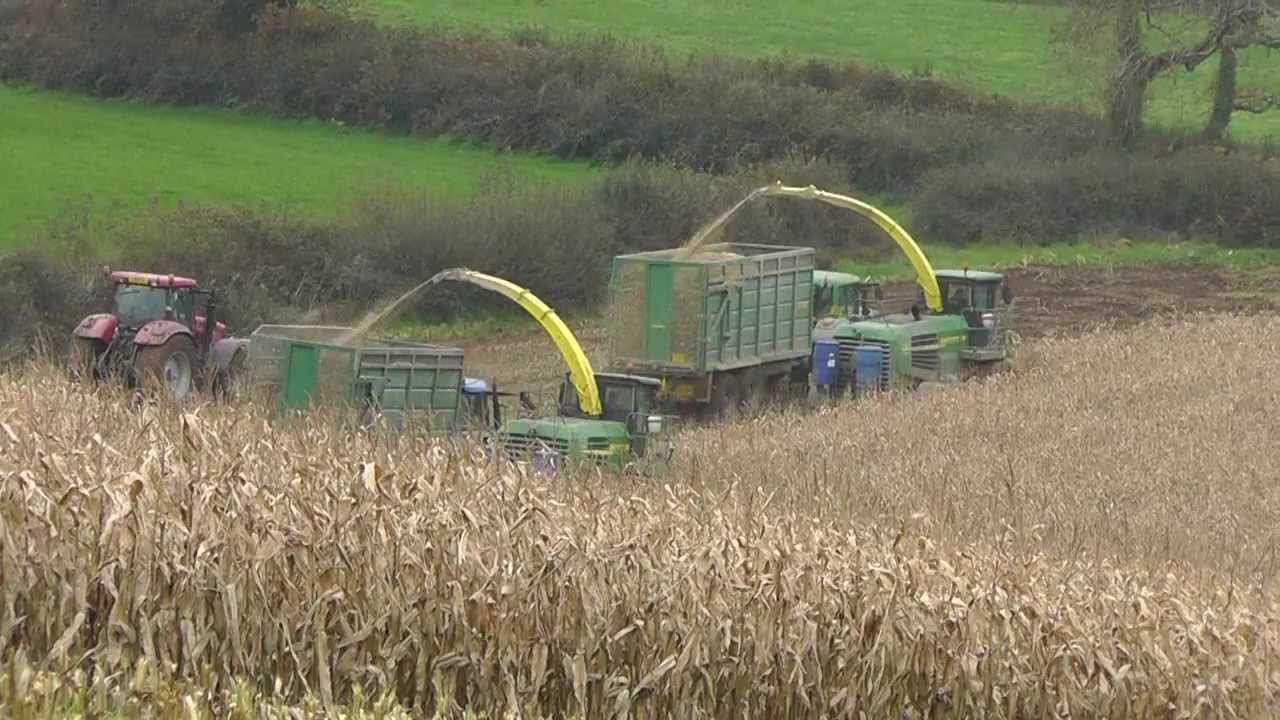 Maize 2011 Two John Deere Foragers, More Tractors in Trouble.